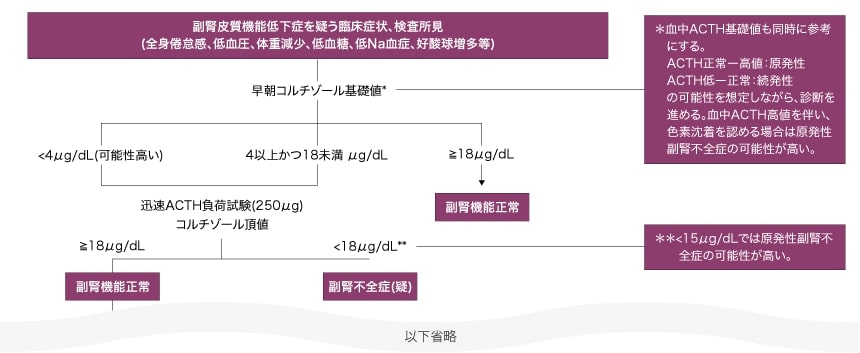 コートロシン 負荷 試験 コレクション と は