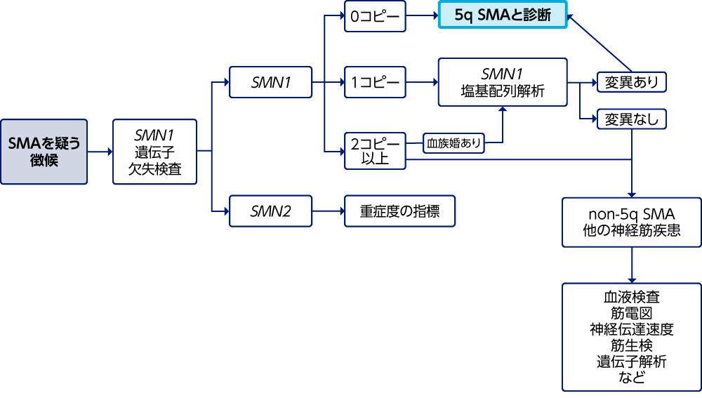 神経疾患の電気診断学 Amazon.co.jp: 新 神経・筋疾患の電気診断学: 筋電図・神経伝導