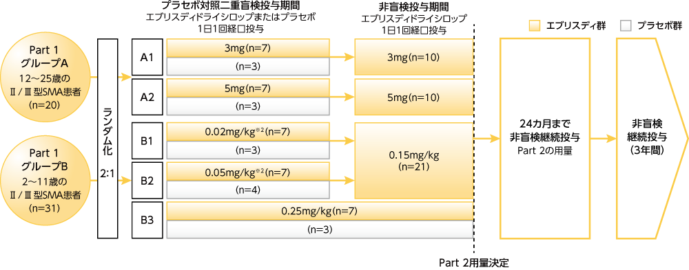 Ⅱ/Ⅲ型脊髄性筋萎縮症（SMA）患者を対象とした国際共同第Ⅱ/Ⅲ