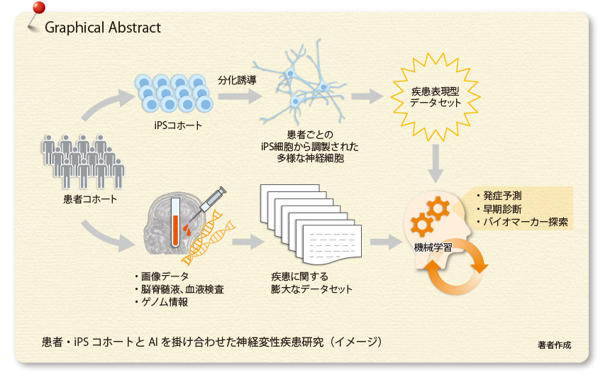 特集 「iPS細胞とAIによる神経変性疾患早期診断の展望」｜PLUS CHUGAI