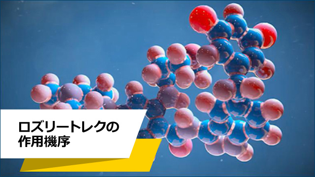 【17冊セット】まとめ売り　癌　関連本　自然治癒　がん 登録終了の研究 | 日本がん支持療法研究グループ J-SUPPORT
