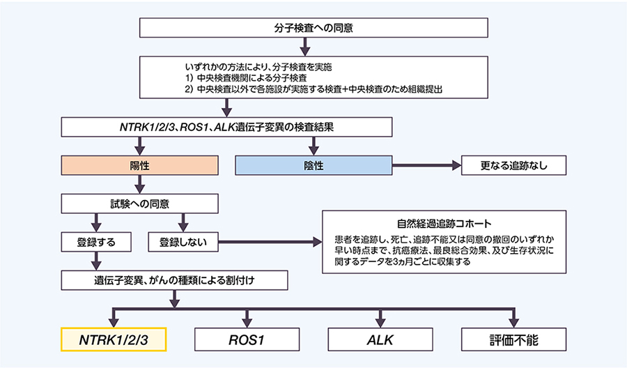日本がん対策図鑑 | 【ホルモン感受性前立腺がん：一次治療（4年
