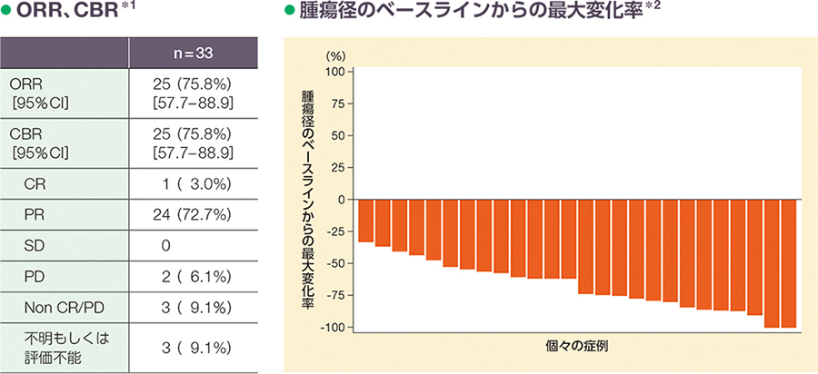 検証コーヌスクローネ : 長期経過症例と臨床統計からの再評価 Amazon.co.jp: 検証コーヌスクローネ: 長期経過症例と臨床統計