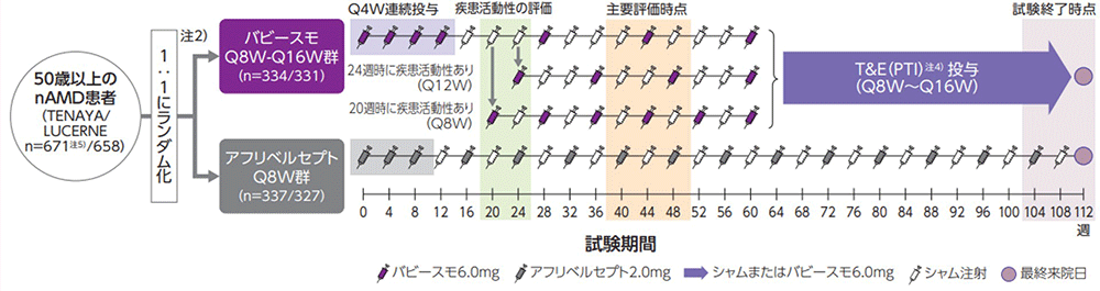 nAMD】TENAYA/LUCERNE試験2年時における有効性及び安全性（国際