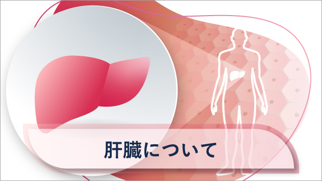 肝細胞がんIC用サイト｜PLUS CHUGAI 中外製薬医療関係者向け