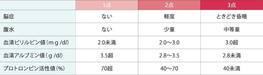 肝臓について｜PLUS CHUGAI 中外製薬医療関係者向けサイト（医師向け）