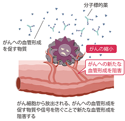 眼科薬物療法リファレンス　断裁済み 2024新商品 眼科薬物療法リファレンス (新篇眼科プラクティス