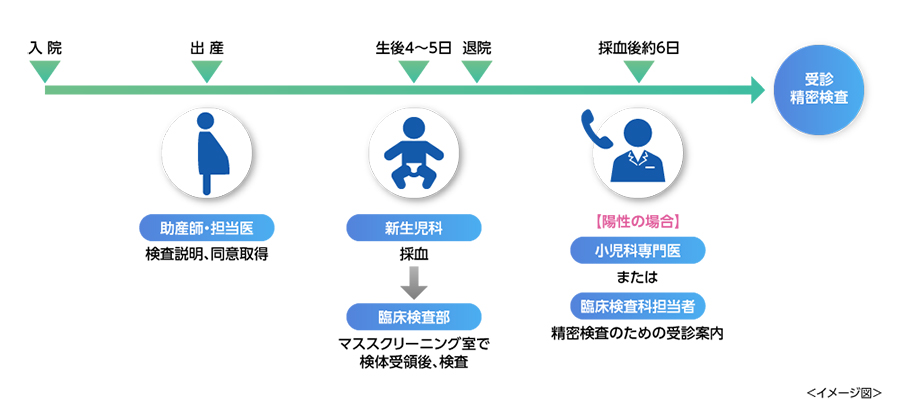 専門医をめざす 周産期診療ワークブック 晒す 胎児