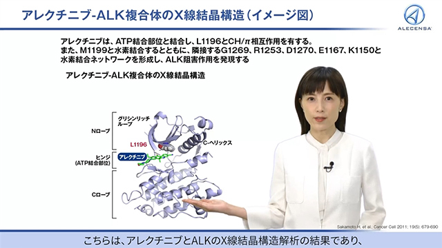 こう治す　複合汚染アレルギー こう治す複合汚染アレルギ-: 食物アレルギ-治療の新段階 | 河野