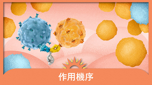 ルンスミオ おまとめページ｜PLUS CHUGAI 中外製薬医療関係者