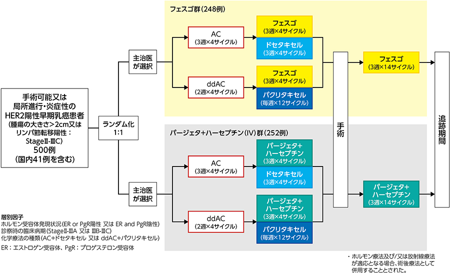 HER2陽性大腸がんの薬物治療を総合的に考える〜有効性・安全性と治療