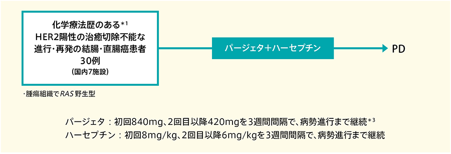 HER2陽性大腸がんの薬物治療を総合的に考える〜有効性・安全性と治療
