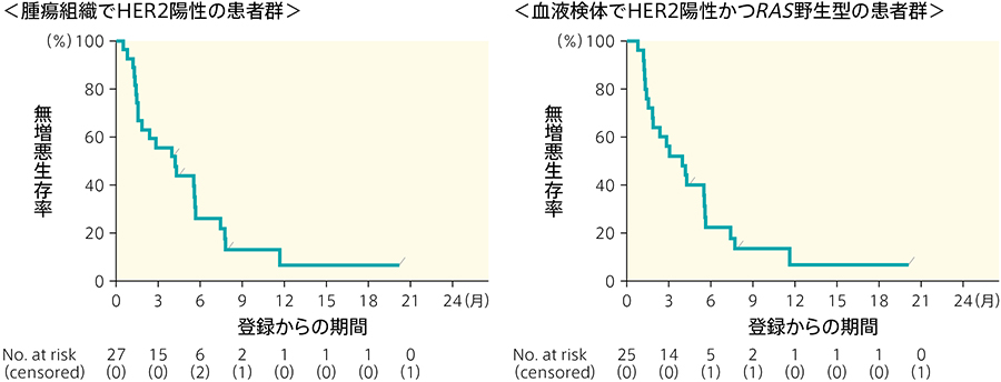 HER2陽性大腸がんの薬物治療を総合的に考える〜有効性・安全性と治療