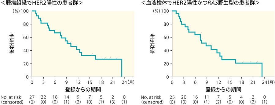 HER2陽性大腸がんの薬物治療を総合的に考える〜有効性・安全性と治療
