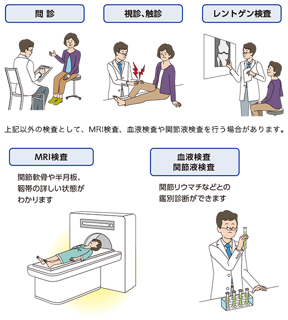 股関節／膝関節の検査と治療～力を使わず、痛みを伴わない新しい