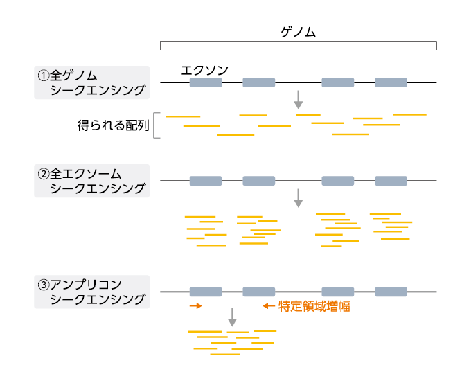 ゲノム解析・エピゲノム解析・トランスクリプトーム解析｜PLUS CHUGAI 中外製薬医療関係者向けサイト（医師向け）