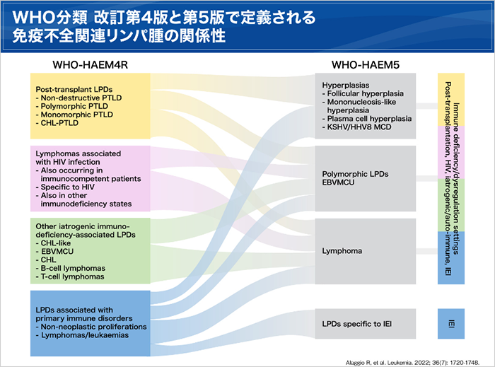 WHO分類第5版改訂のポイント ―濾胞性リンパ腫・びまん性大細胞型B細胞 