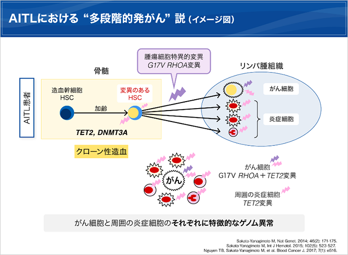 販売 腫瘍関連細胞の循環アンサンブル