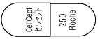 セルセプトカプセル250・懸濁用散31.8％（電子添文 HTML版）｜PLUS CHUGAI 中外製薬医療関係者向けサイト