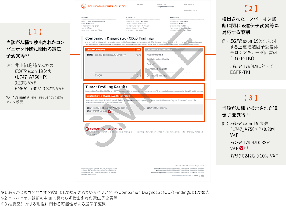 【高品質】 report_img_01.png 矯正用品・補助ベルト