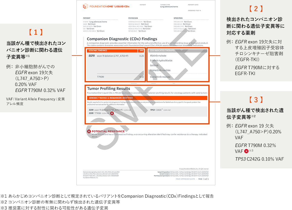 R指定＆Lycaon 果たし状 果たし状 : 2010/5/4 ] R指定 / Lycaon - YouTube
