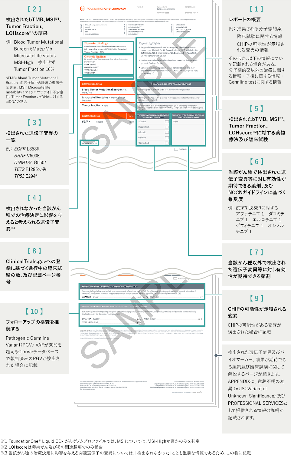 解析結果レポート | FoundationOne® Liquid CDx がんゲノム
