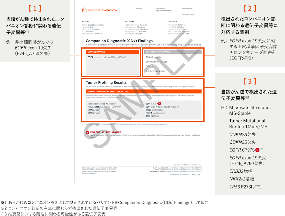 【再入荷】 解析結果レポート | FoundationOne® CDx がんゲノムプロファイル 矯正用品・補助ベルト