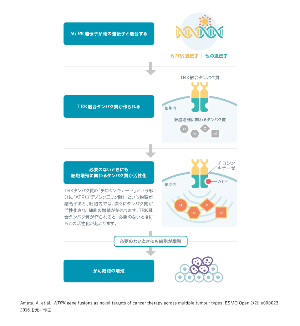 遺伝相談に必要な人の遺伝学 |本 | 通販 | Amazon
