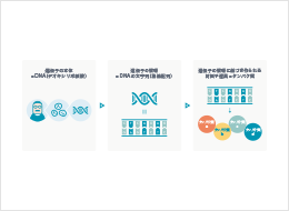 おしえて がんゲノム医療 イラスト素材集 診療サポート資材 Foundationone Cdx がんゲノムプロファイル Foundationone Liquid Cdx がんゲノムプロファイル 中外製薬医療関係者サイト