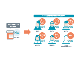 おしえて がんゲノム医療 イラスト素材集 診療サポート資材 Foundationone Cdx がんゲノムプロファイル Foundationone Liquid Cdx がんゲノムプロファイル 中外製薬医療関係者サイト