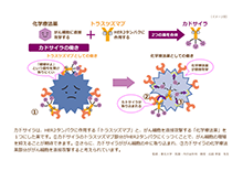 The Cure for All Cancers ハーブでガンの完全治癒 転移・再発 | HER2陽性乳がんインフォームドコンセントツール