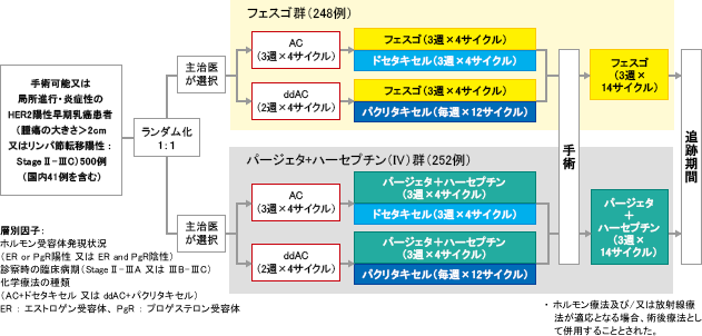 試験概要② | FeDeriCa試験（術前、術後） | フェスゴ | HER2陽性 